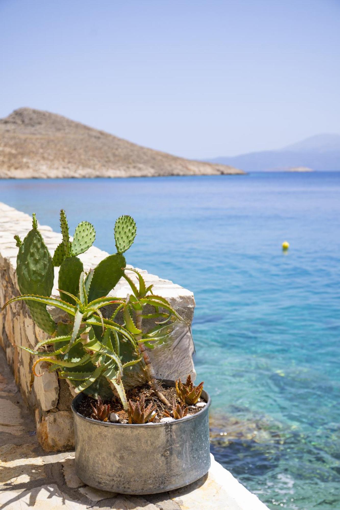 Villa Electra Chalki Town Exteriör bild